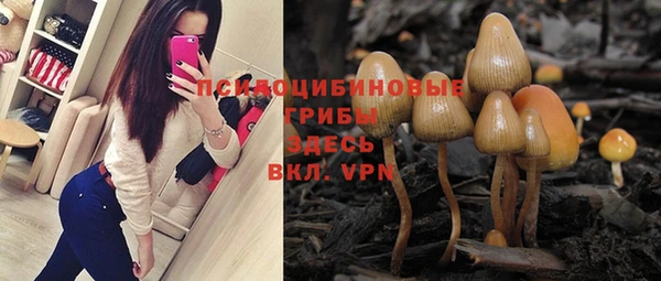 твердый Балахна