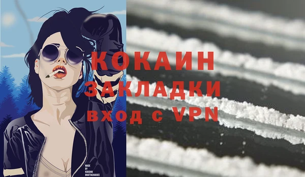 твердый Балахна