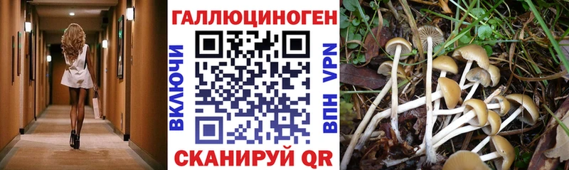 Галлюциногенные грибы мицелий купить закладку Белёв